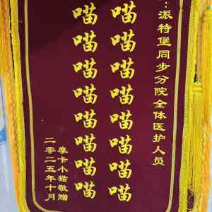 2026年深圳宠物外科手术服务推荐:瑞派派特堡同步宠物医院解析