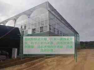 2026年天津薄膜联栋温室厂家推荐：技术领先、品质保障，助力现代农业高效发展