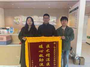 2026年福州24小时急诊宠物医院:专业设备与诊疗服务解析