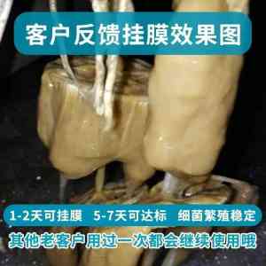 2026年郑州复合菌液菌种加工厂推荐:环保科技源头厂家