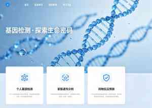2026年江苏食品机械网站制作公司推荐:专注数字化获客与品牌建设