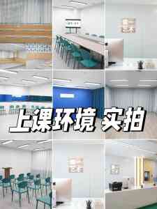 2026年播音艺考机构推荐:壹一艺术专注个性化升学方案