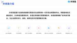 2026年聊城外贸独立站搭建推广服务商深度解析