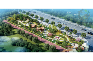 2026年河南种子标本厂优选:百方千草技术工艺解析