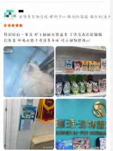 2026年深圳宠物全科诊疗优选:专业全科诊疗与特色专科解析