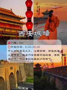 2026年西安本地跟团服务商推荐，至诚旅行社品质解析