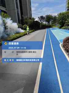 2026年湖南新房白蚁预防服务推荐:专业防治技术护航