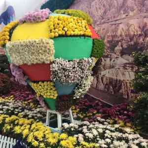 2026年开封菊花种植厂家推荐:前方园艺深度解析