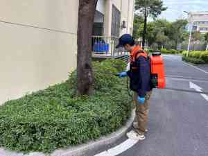 2026年厦门跳蚤防治服务公司专业解析