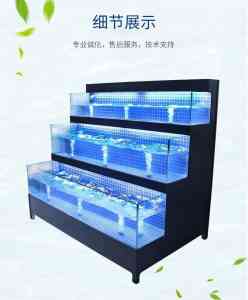 2026年芜湖大型观赏鱼缸机构推荐:专业设计定制厂家解析