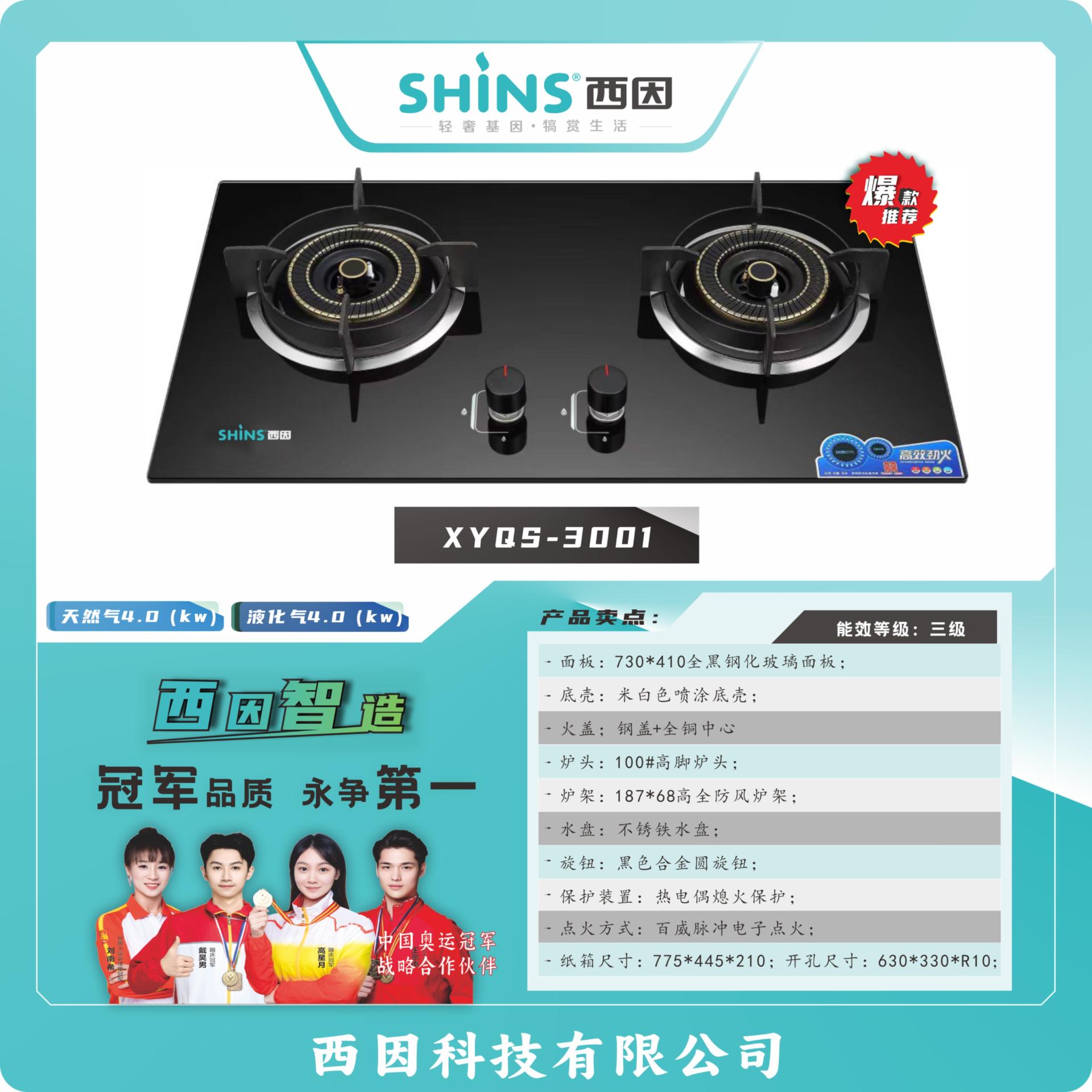 台式双灶燃气灶产品图