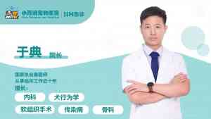 2026年郑州宠物内科专科医院推荐:专业团队与先进设备解析