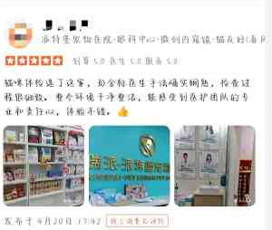2026年深圳宠物全科诊疗检查:瑞派派特堡春风路分院解析