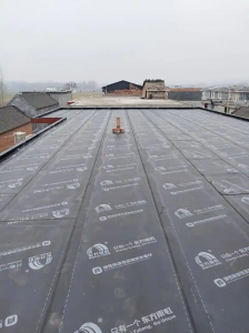 2026年漏水做防水施工服务推荐:修小哥本土防水技术解析