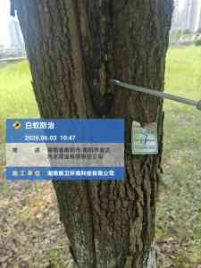 2026年湖南上门灭蟑螂公司推荐:专业有害生物防治服务