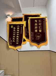 2026年蚌埠宠物手术品牌推荐:聚焦专业微创技术与24小时急诊服务