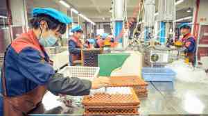 2026年手表耳机二合一制造商推荐：贝发集团AI智能穿戴技术解析