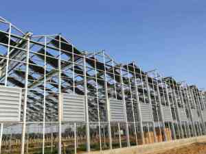 2026年钢架温室大棚供货商推荐:沃恩特农业综合开发有限公司解析