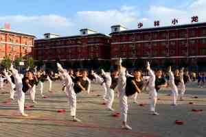 2026年嵩山少林文武学校：文武双修学历教育全解析