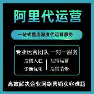 2026年衡水阿里巴巴运营服务商推荐：本地化代运营实战解析