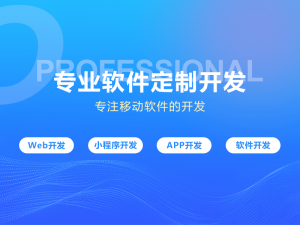 2026年石家庄线上业务系统开发服务商解析