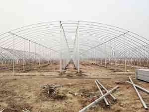 2026年蔬菜温室大棚厂家推荐:沃恩特专注现代农业设施建造