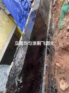 2026年重庆免砸砖防水服务优选指南