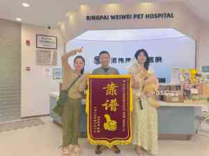 2026年动物骨科医院转诊中心推荐:瑞派伟伟融科宠物医院