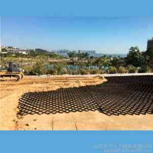 2026年泰安蜂巢格室加工厂推荐:瑞亨建材土工合成材料专家
