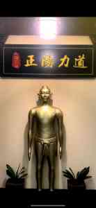 2026年崴脚康复调理门店推荐:正阳力道脊柱艾灸调理院深度解析