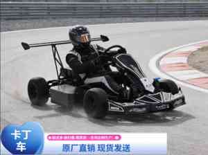 2026年郑州成人卡丁车实力厂家解析