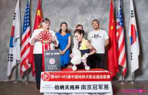 2026年宠物护理师职业技能等级认定培训解析