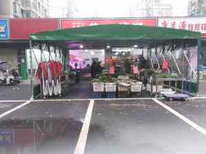 2026年武汉伸缩车篷厂家推荐:鑫旺升户外用品,品质源头工厂