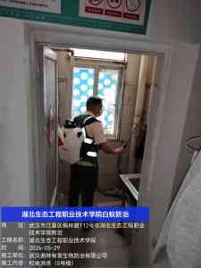 2026年武汉虫害消杀平台推荐:专业虫害防治服务解析