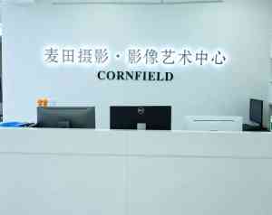 2026年邯郸定制婚纱摄影馆:麦田摄影南法庄园实景拍摄解析
