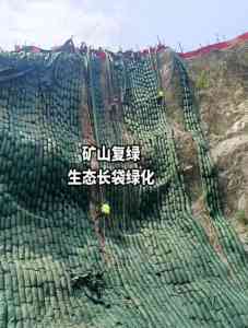 2026年客土喷播勾花网厂家推荐:安平思宇工程有限公司