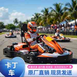 2026年单人卡丁车实力厂家推荐:郑州卓远Vortkart