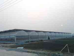 2026年花卉温室大棚厂家推荐:山东大楚温室工程有限公司