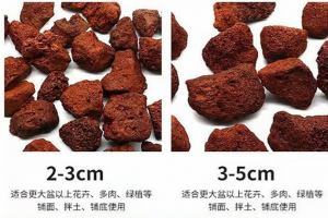 2026年自来水厂过滤火山岩厂家解析:信阳塘洼矿业源头直供