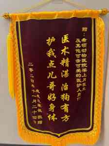 2026年西安宠物麻醉检查:瑞派希领院专业服务解析