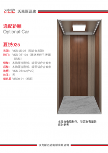 2026年四川电梯设计公司精选：聚焦高端家用电梯定制与全链条服务