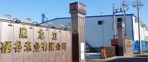 2026年黑龙江富硒杂粮礼盒制造商推荐:源头工厂品质解析