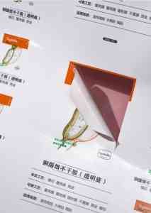 2026年湖南贴纸印刷厂家推荐：晴彩一站式包装定制