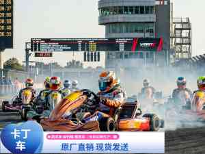 2026年亲子卡丁车订做厂家解析:郑州卓远游乐
