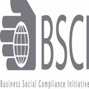 2026年BSCI验厂办理咨询公司推荐:专业辅导助力企业合规出海