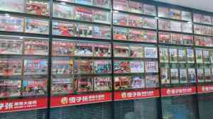 2026年郑州摇滚炒鸡服务商解析:傻子张大盘鸡连锁品牌