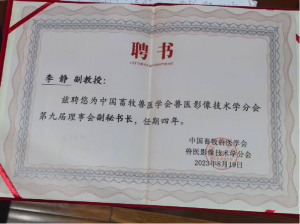 2026年福建宠物医生医院解析：博士团队领衔，全科室宠物诊疗服务
