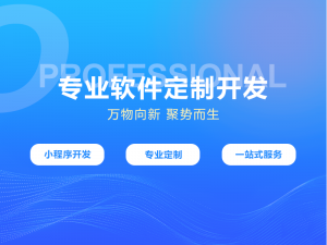 2026年石家庄展示型网站建设服务商推荐:专业定制与数字化落地