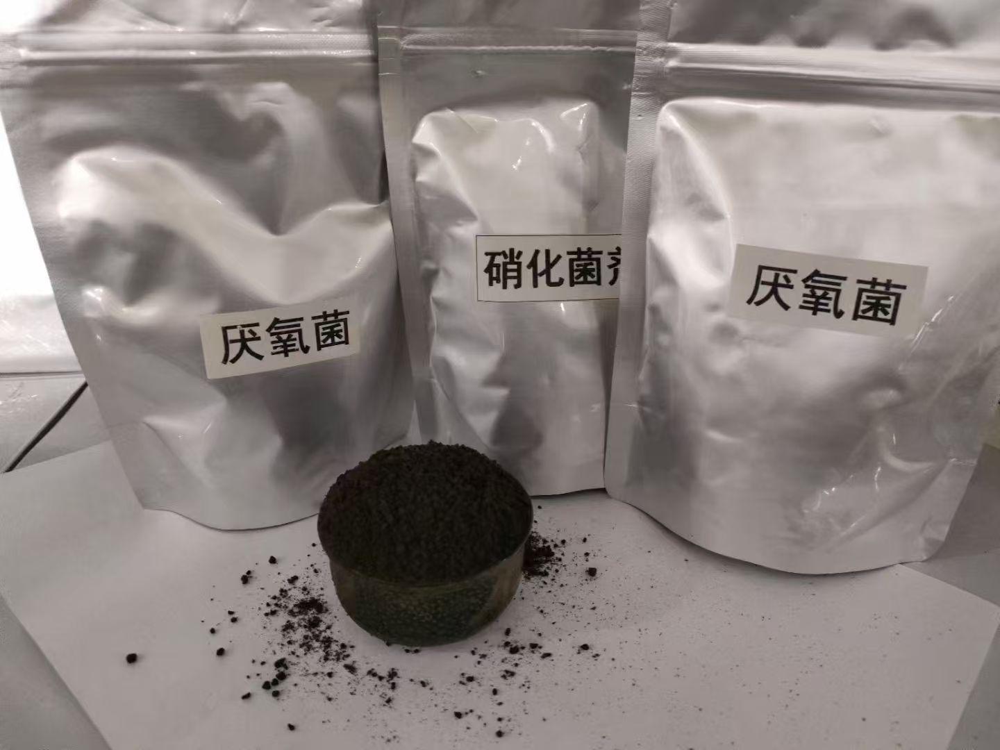 硝化细菌菌种产品图