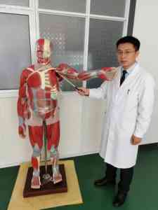 2026年人体运动肌肉解剖模型优质厂家解析:上海珊迦